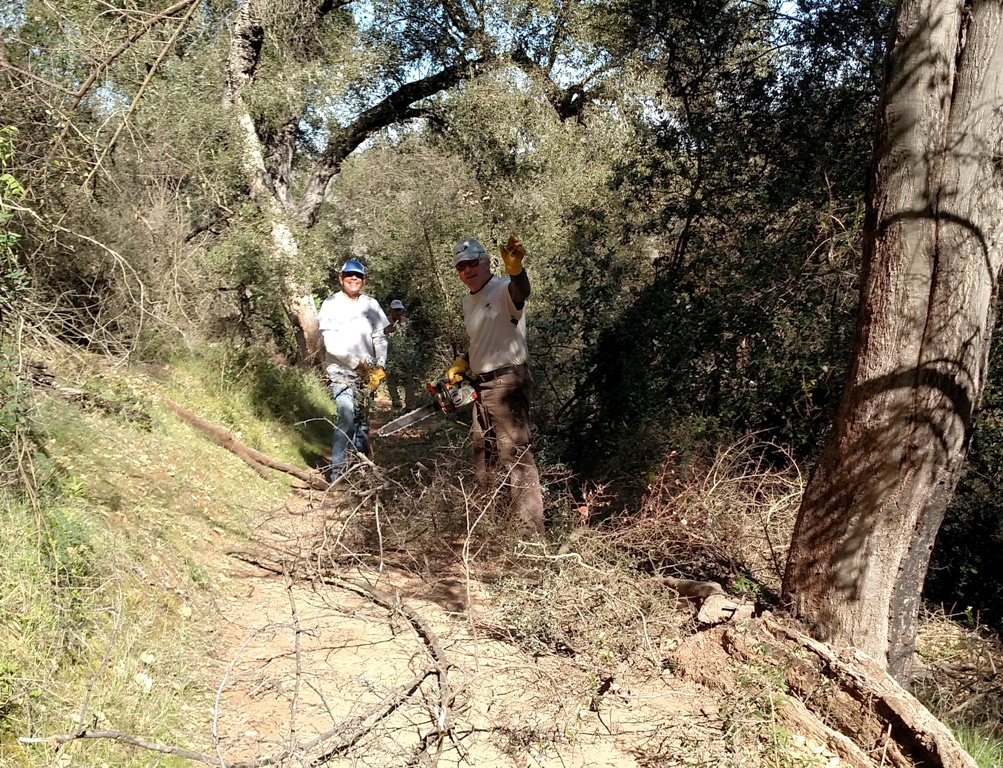 Phil, John and Bruce cutting up and stashing brush.